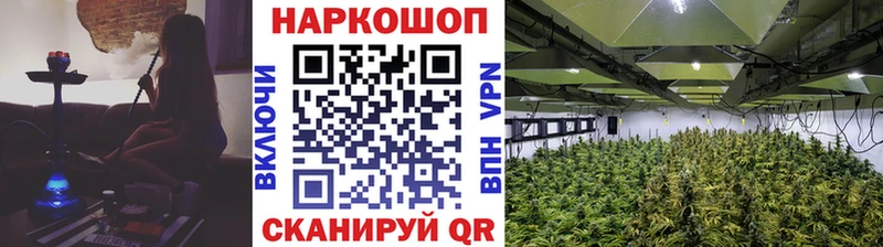 Где купить Артёмовский Кокаин Канабис Псилоцибиновые грибы ГАШИШ МЕФ